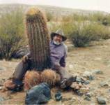 cocktus