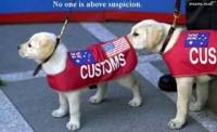 snoopy